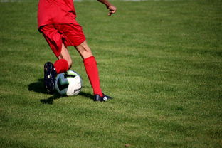 爱游戏体育下载-中国篮球职业联赛俱乐部青训体系建设及实践探索，职业篮球青年队