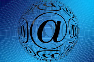 爱游戏ayx-中国篮球职业联赛青训体系创新发展模式分析，中国青年篮球队